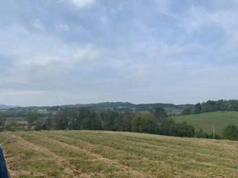 Photo #5: Lt 3 Greystone Road