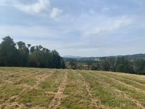 Photo #3: Lt 4 Greystone Road