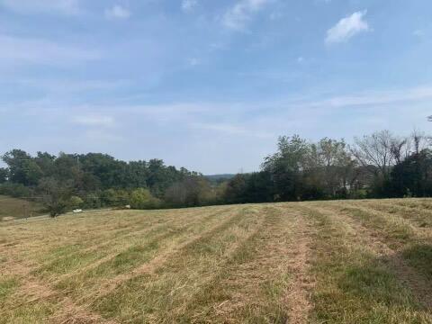 Photo #7: Lt 4 Greystone Road