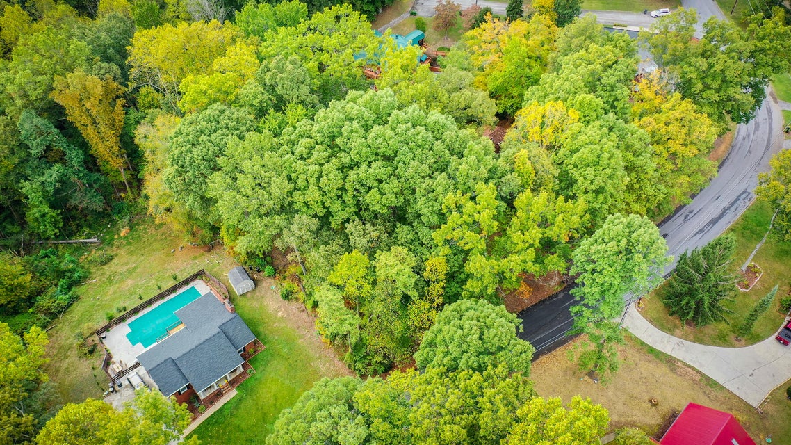 Photo #3: Lot 2 Dover Avenue