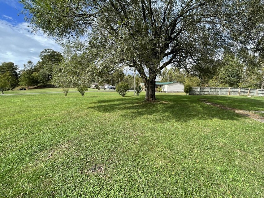 Photo #11: 233 Sycamore Drive
