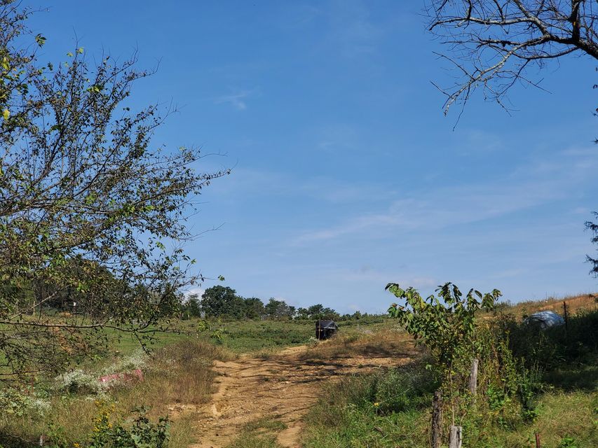 Photo #18: Tbd Gunter Corner Road