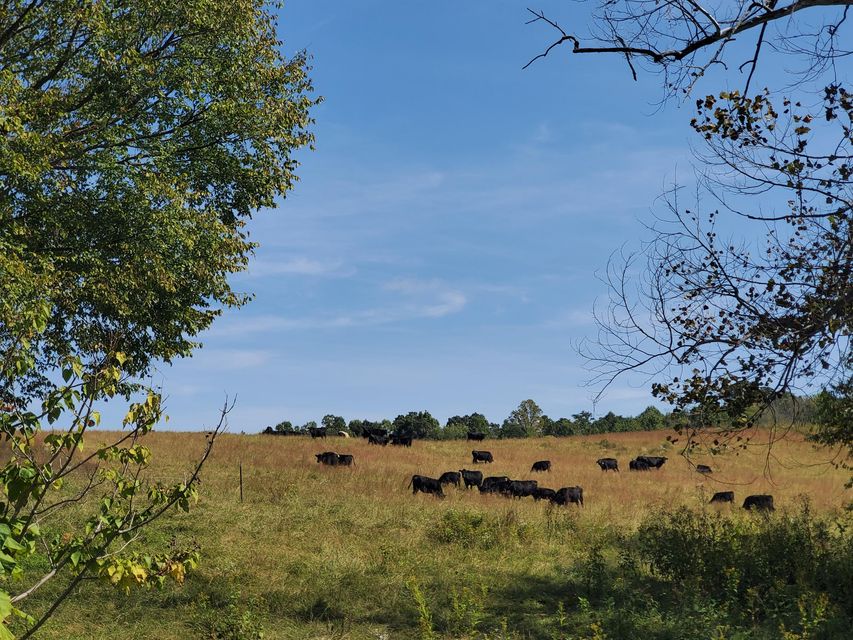 Photo #16: Tbd Gunter Corner Road