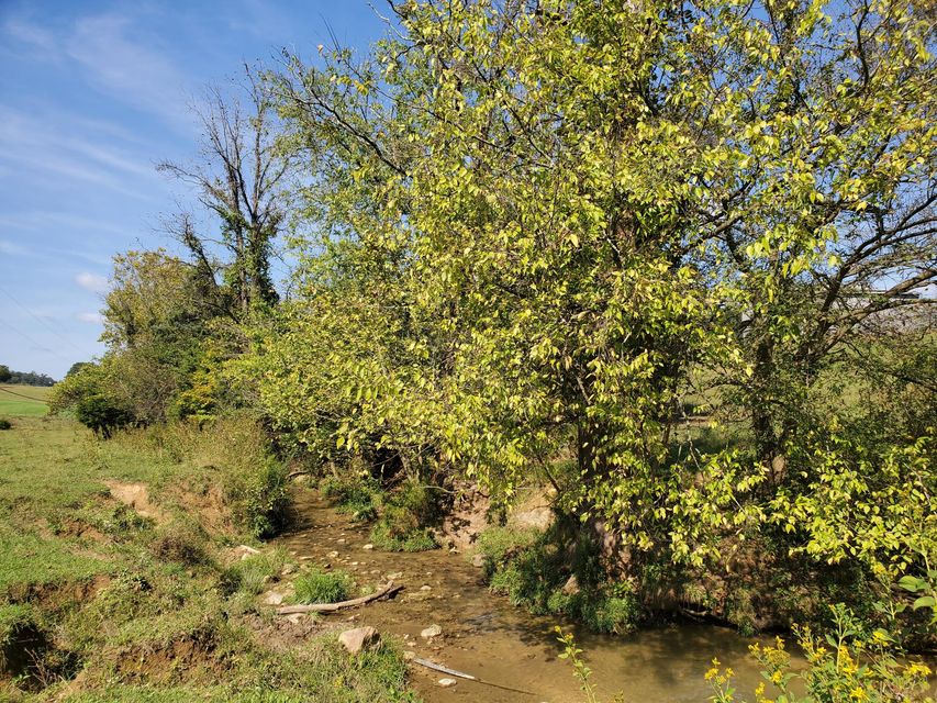Photo #29: Tbd Gunter Corner Road