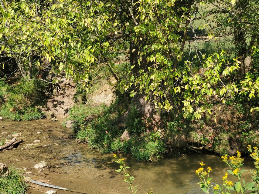 Photo #26: Tbd Gunter Corner Road