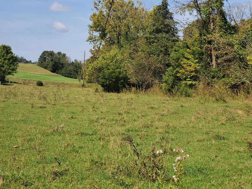 Photo #22: Tbd Gunter Corner Road