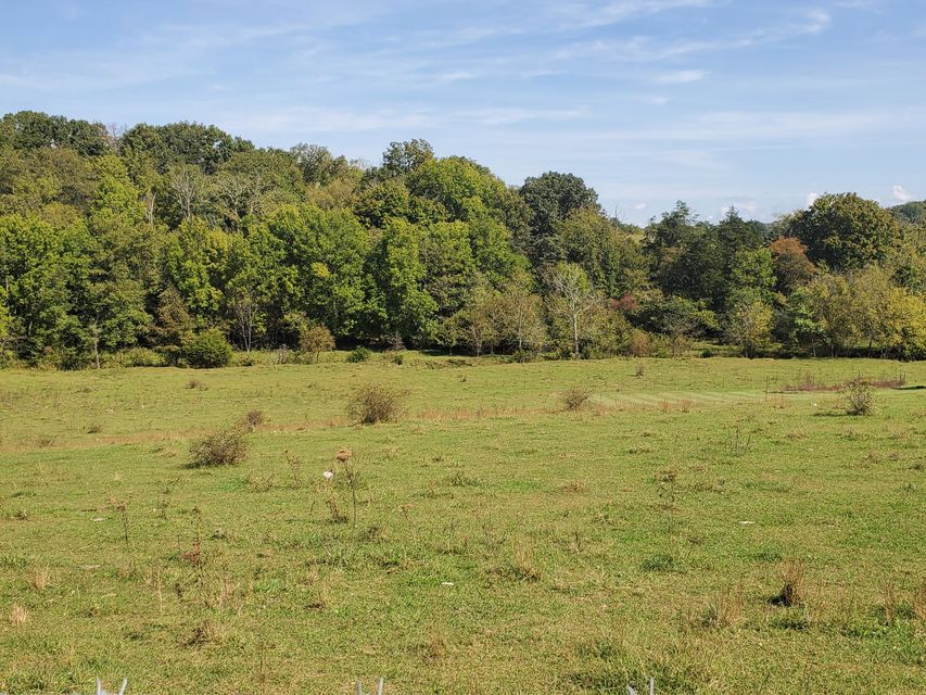 Photo #19: Tbd Gunter Corner Road