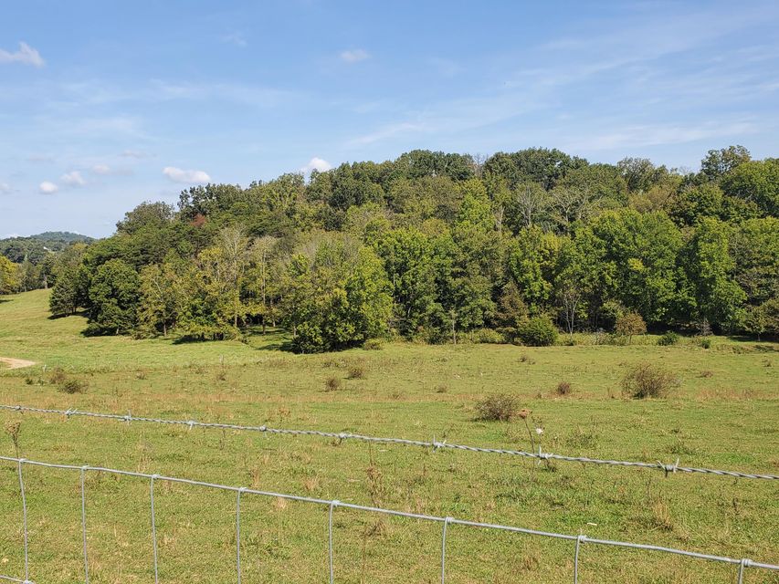 Photo #21: Tbd Gunter Corner Road