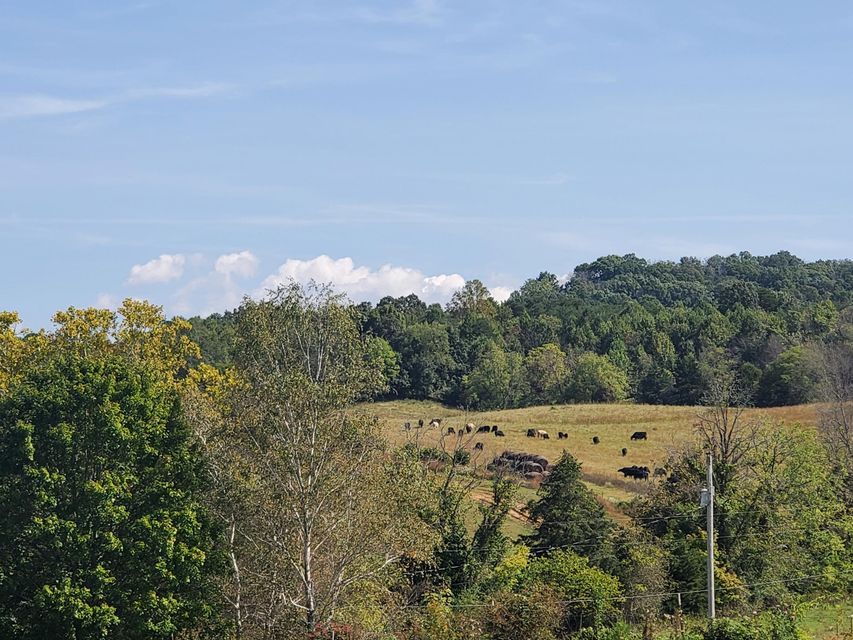 Photo #33: Tbd Gunter Corner Road