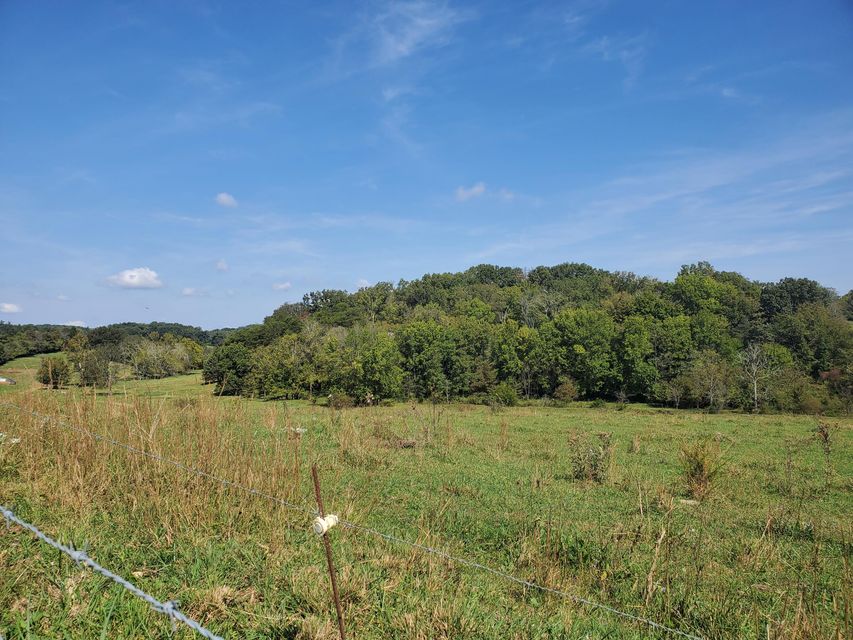Photo #35: Tbd Gunter Corner Road
