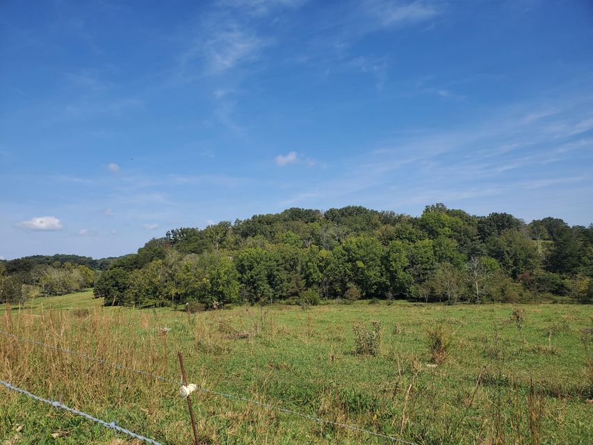 Photo #27: Tbd Gunter Corner Road