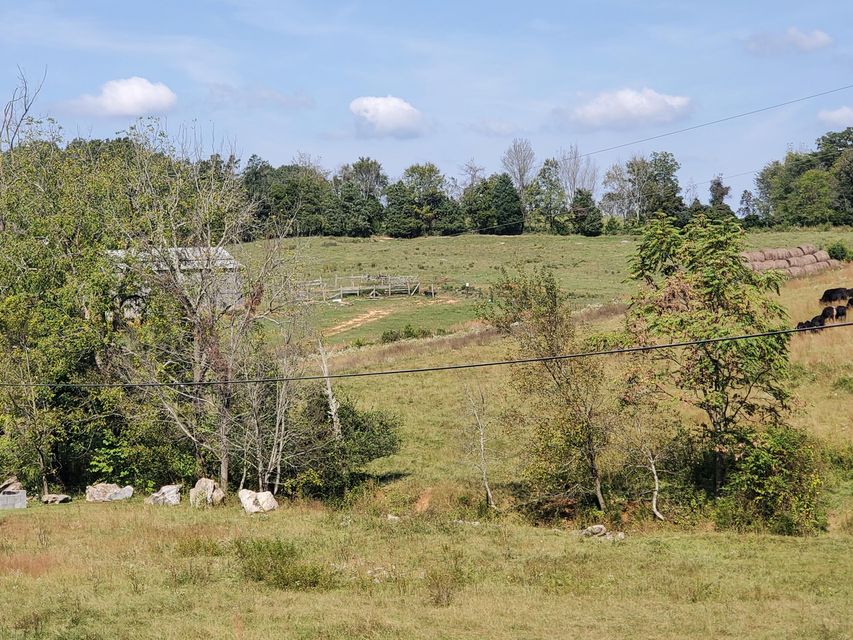 Photo #37: Tbd Gunter Corner Road