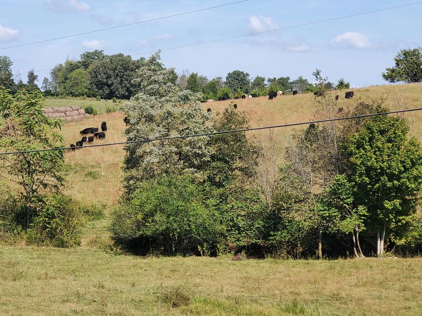Photo #38: Tbd Gunter Corner Road