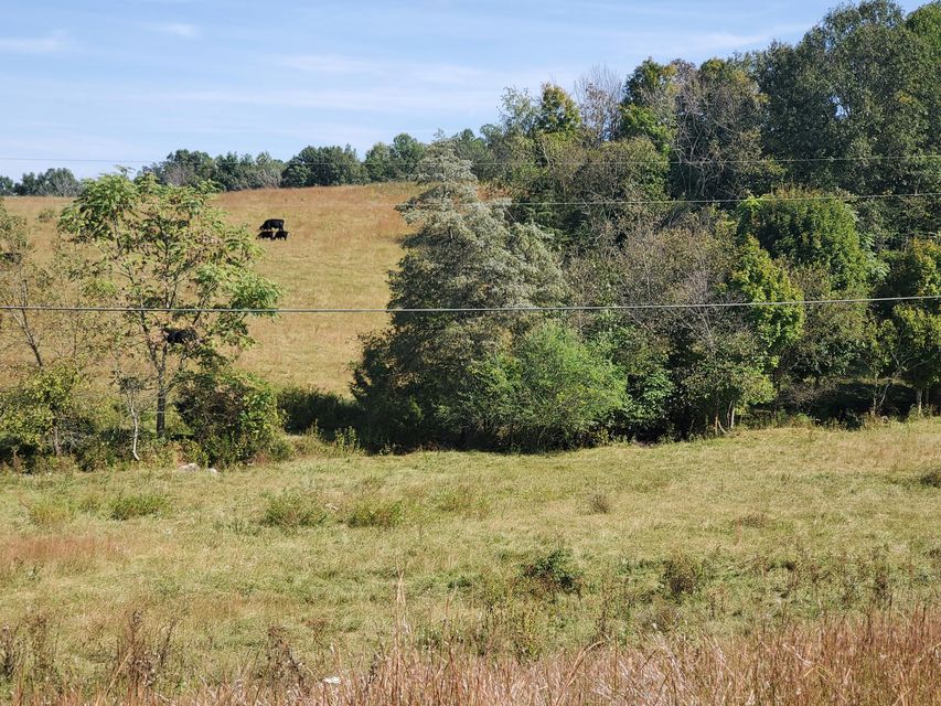 Photo #23: Tbd Gunter Corner Road