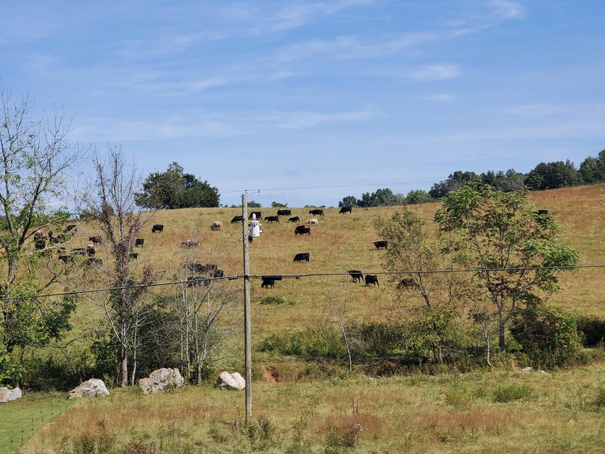 Photo #20: Tbd Gunter Corner Road