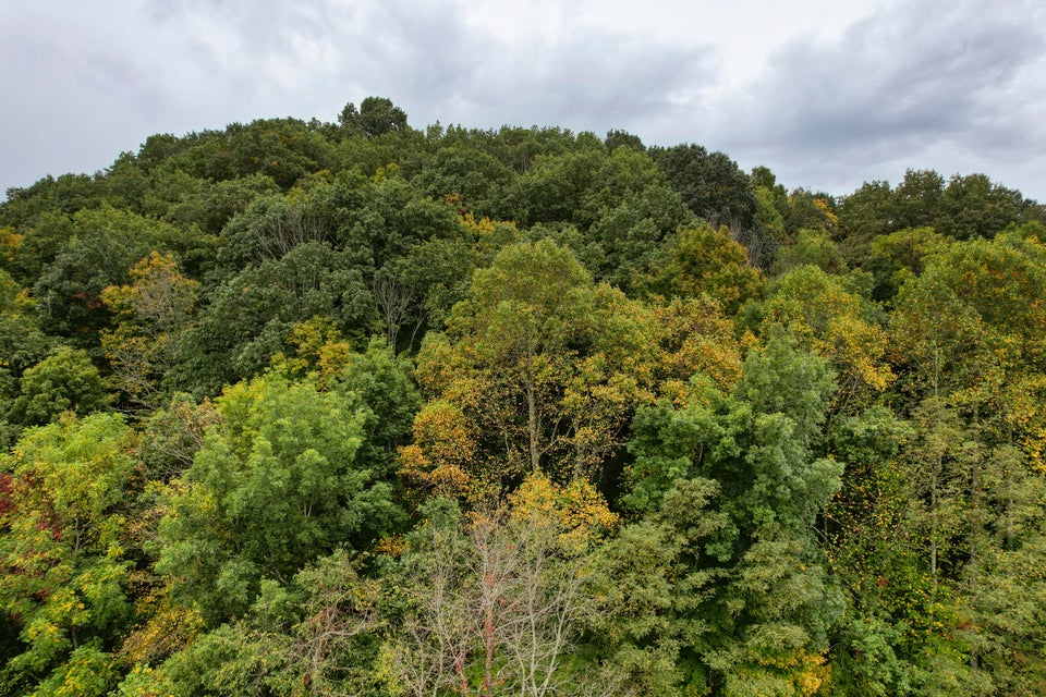 Photo #32: 189 Woodlyn Road