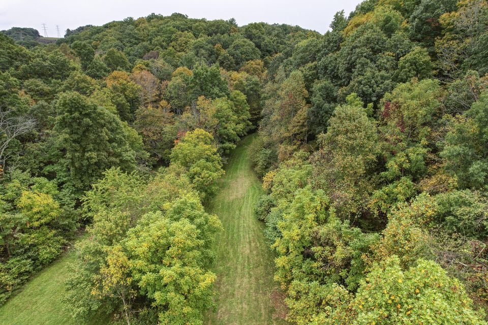 Photo #33: 189 Woodlyn Road