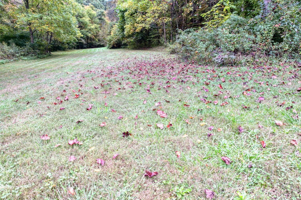 Photo #36: 189 Woodlyn Road
