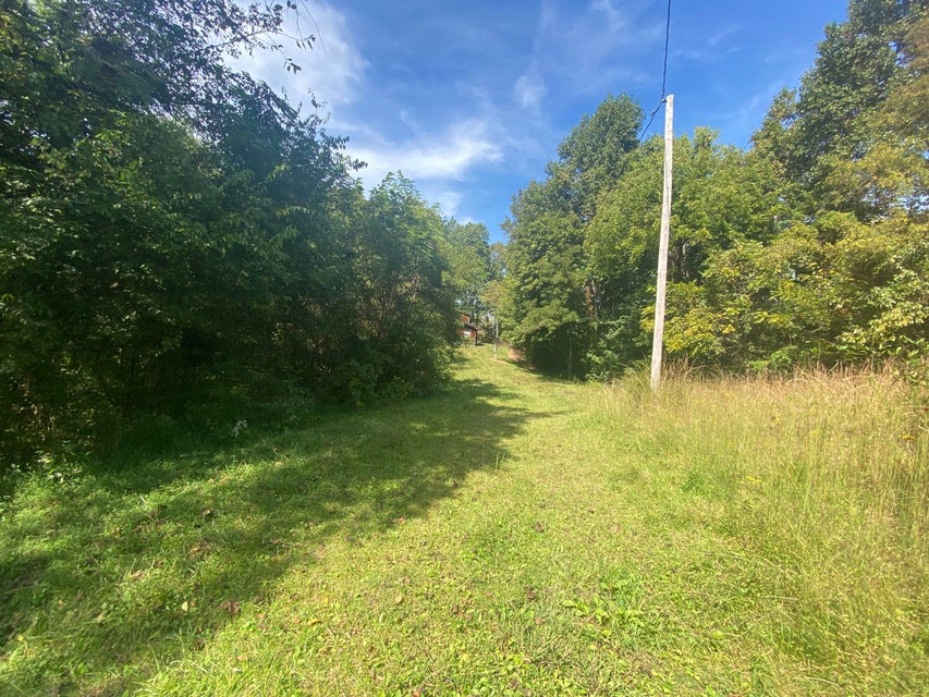 Photo #5: 180 White Hollow Way