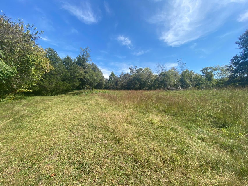 Photo #7: 180 White Hollow Way