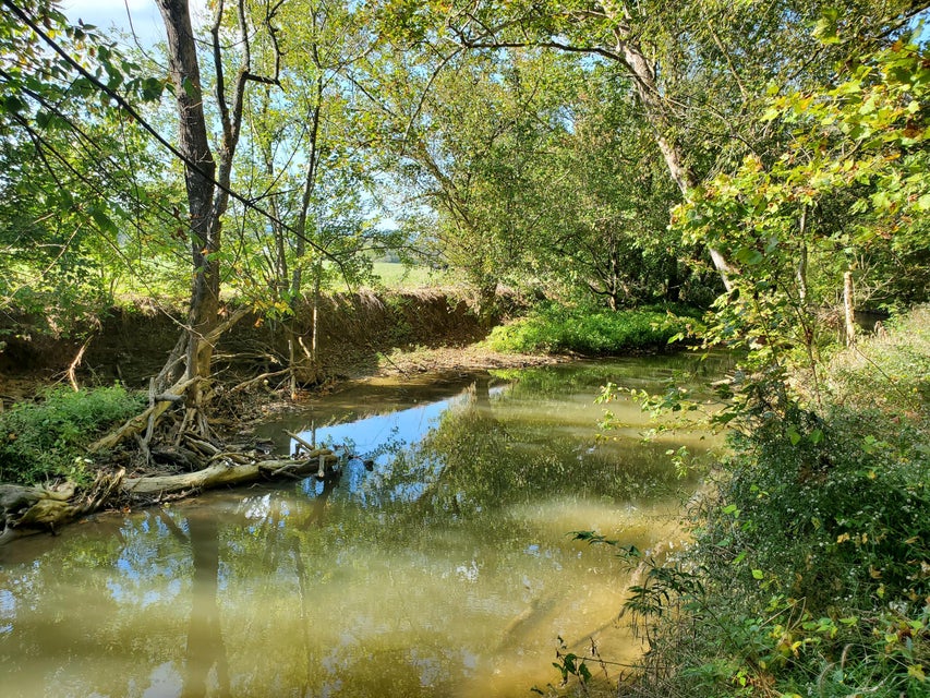 Photo #14: 678 Spears Dykes Road