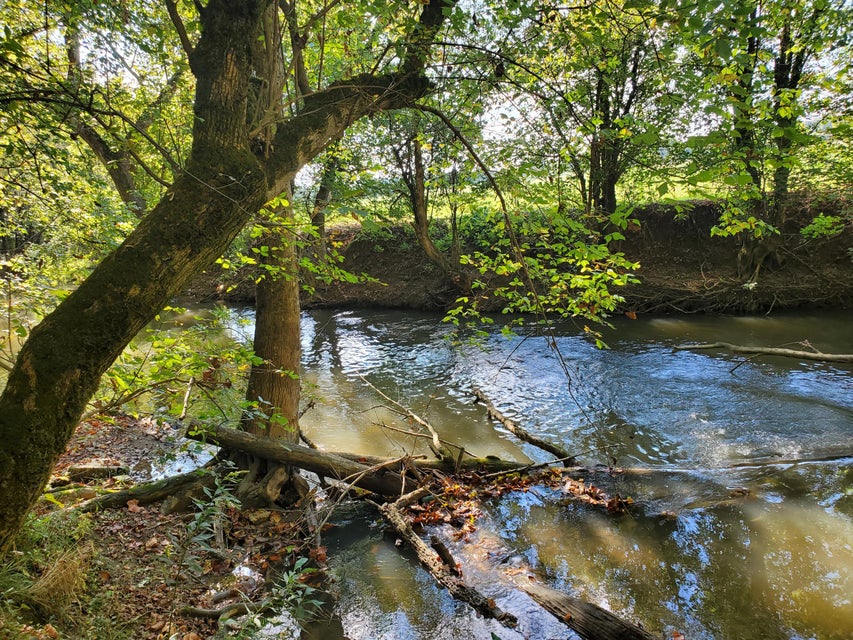 Photo #15: 678 Spears Dykes Road