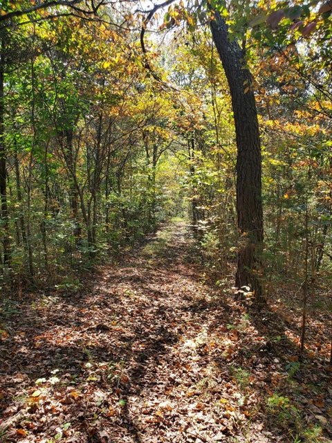 Photo #18: 678 Spears Dykes Road