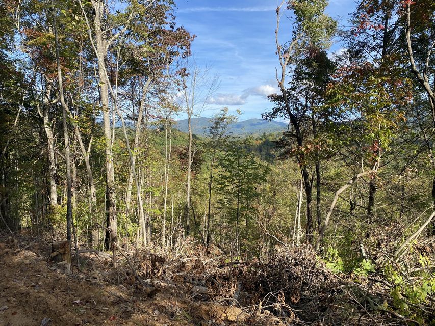 Photo #7: Tbd Simerly Ck Road