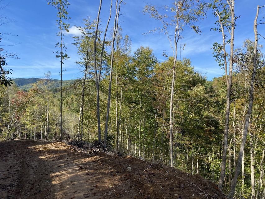 Photo #5: Tbd Simerly Ck Road