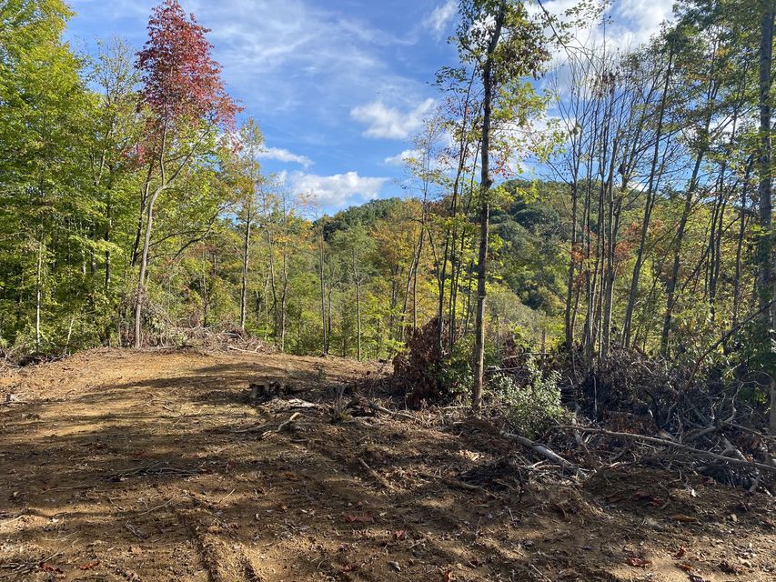 Photo #6: Tbd Simerly Ck Road