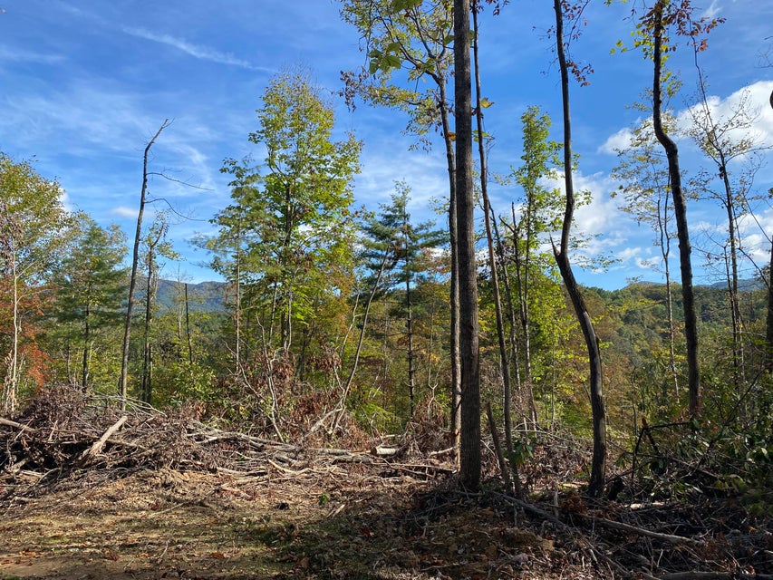 Photo #11: Tbd Simerly Ck Road