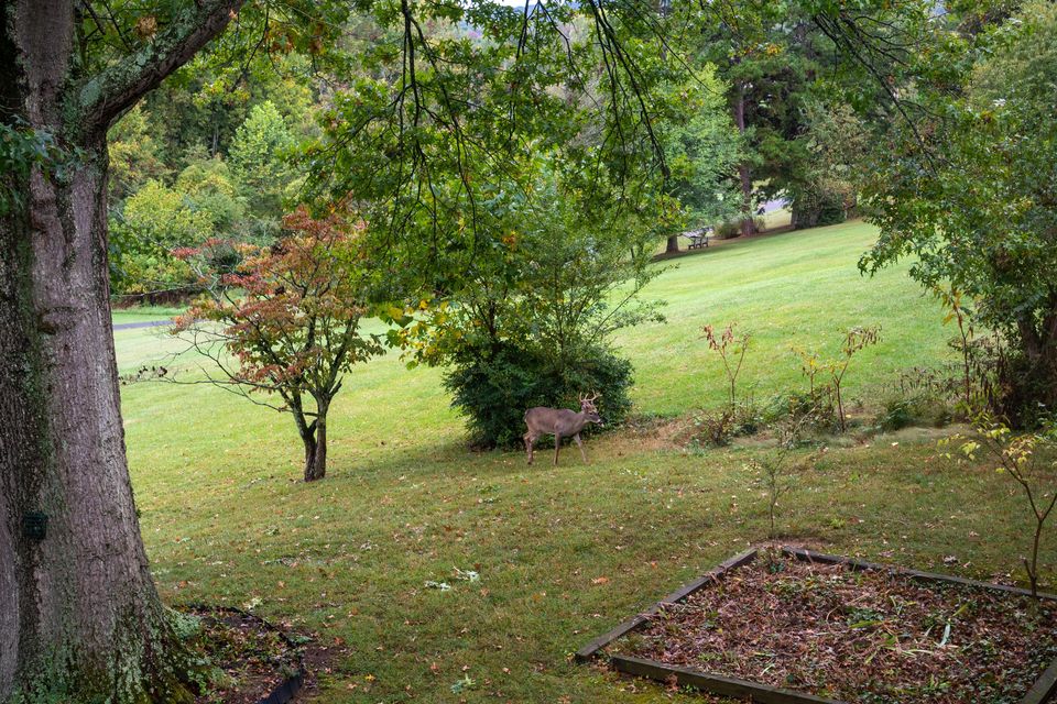 Photo #45: 2121 Heatherly Road