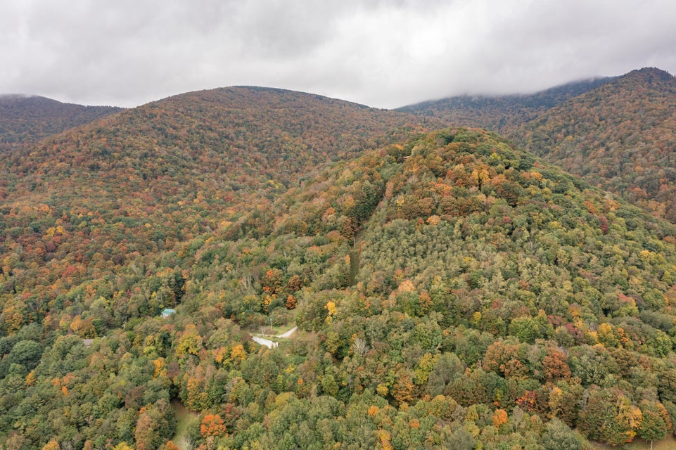 Photo #44: 108 Sylvan Way