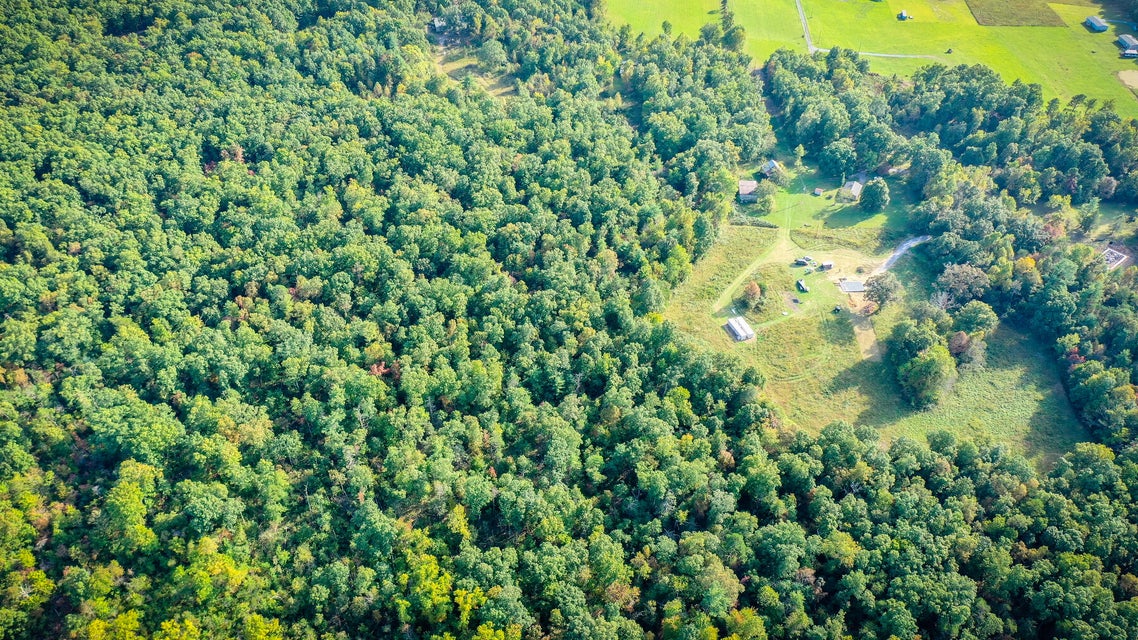 Photo #3: Tbd Cutshaw Lane