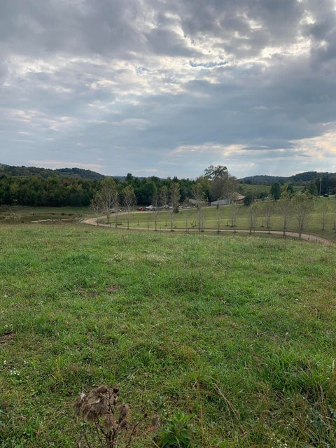 Photo #3: Lt 17 Fox Mays Road