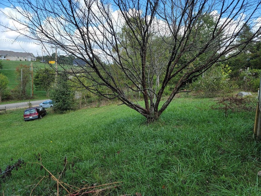 Photo #6: 144 Browning Road