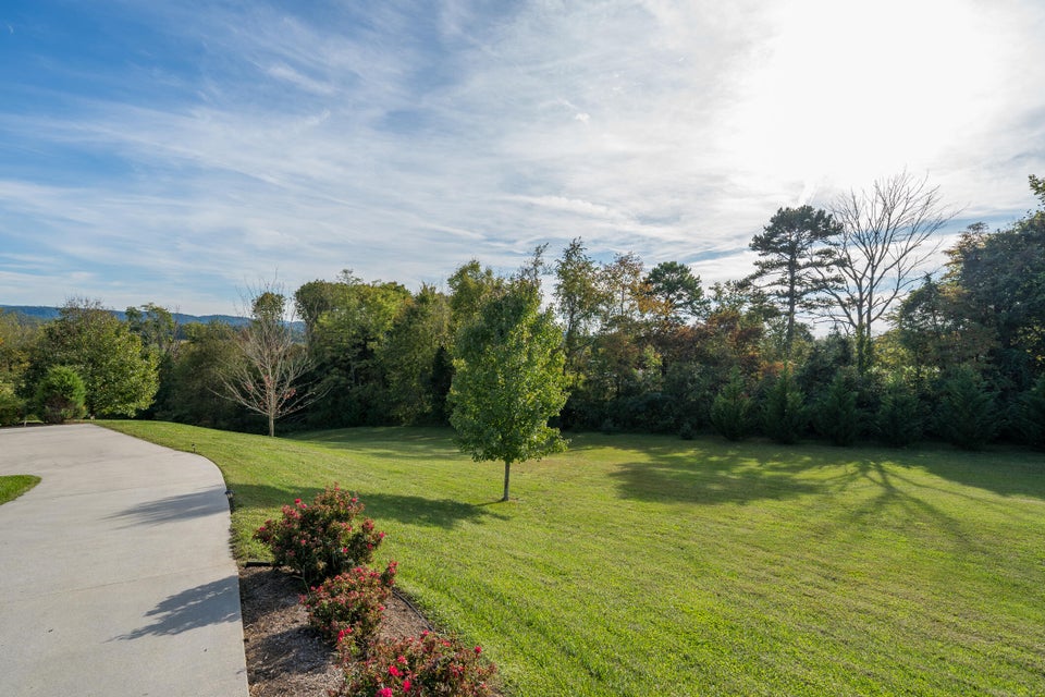 Photo #31: 231 Roanoke Drive