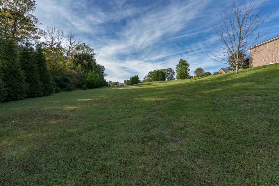 Photo #40: 231 Roanoke Drive