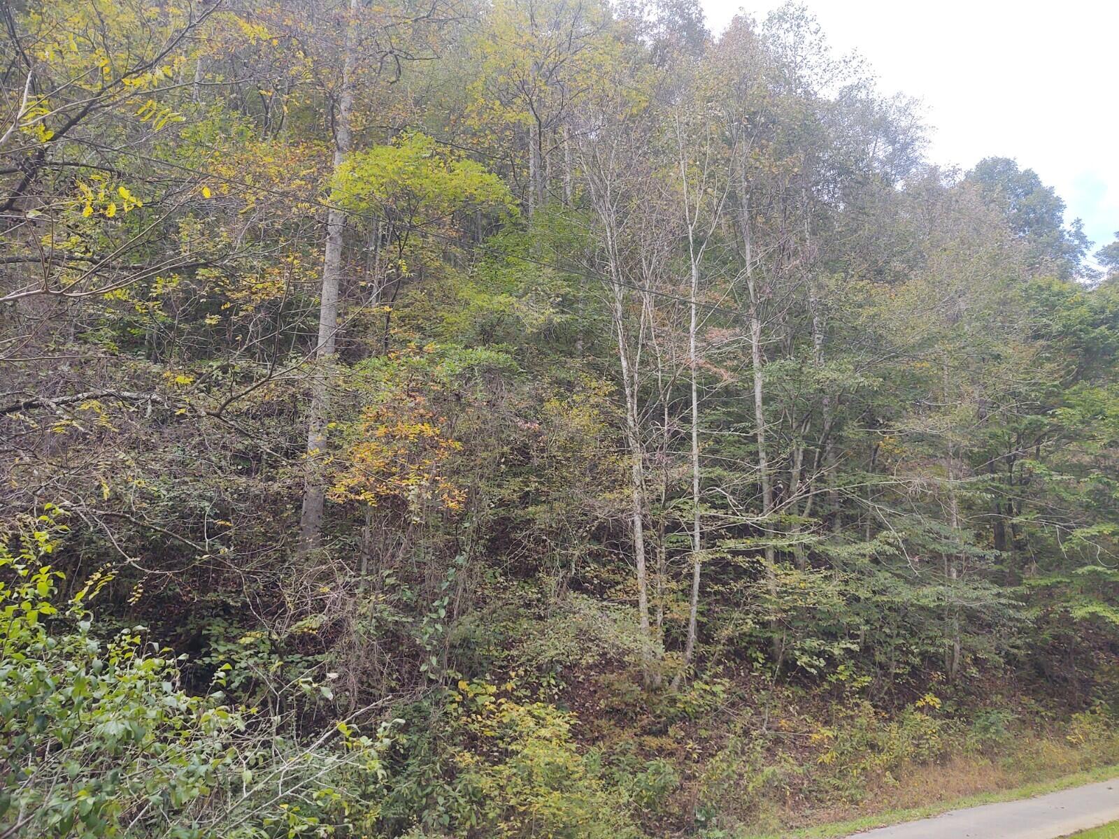 Photo #5: Tbd Bear Hollow Road