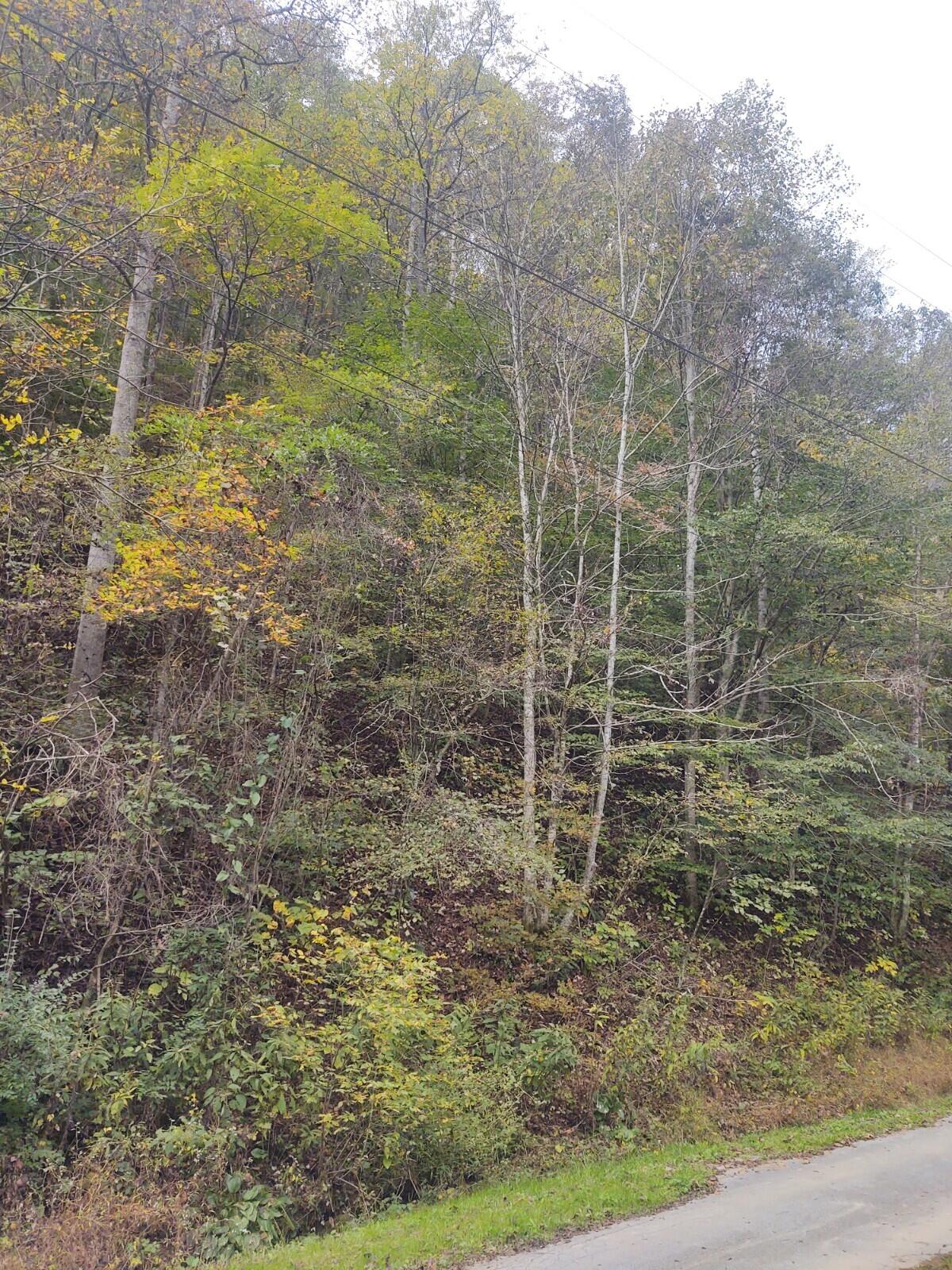 Photo #1: Tbd Bear Hollow Road