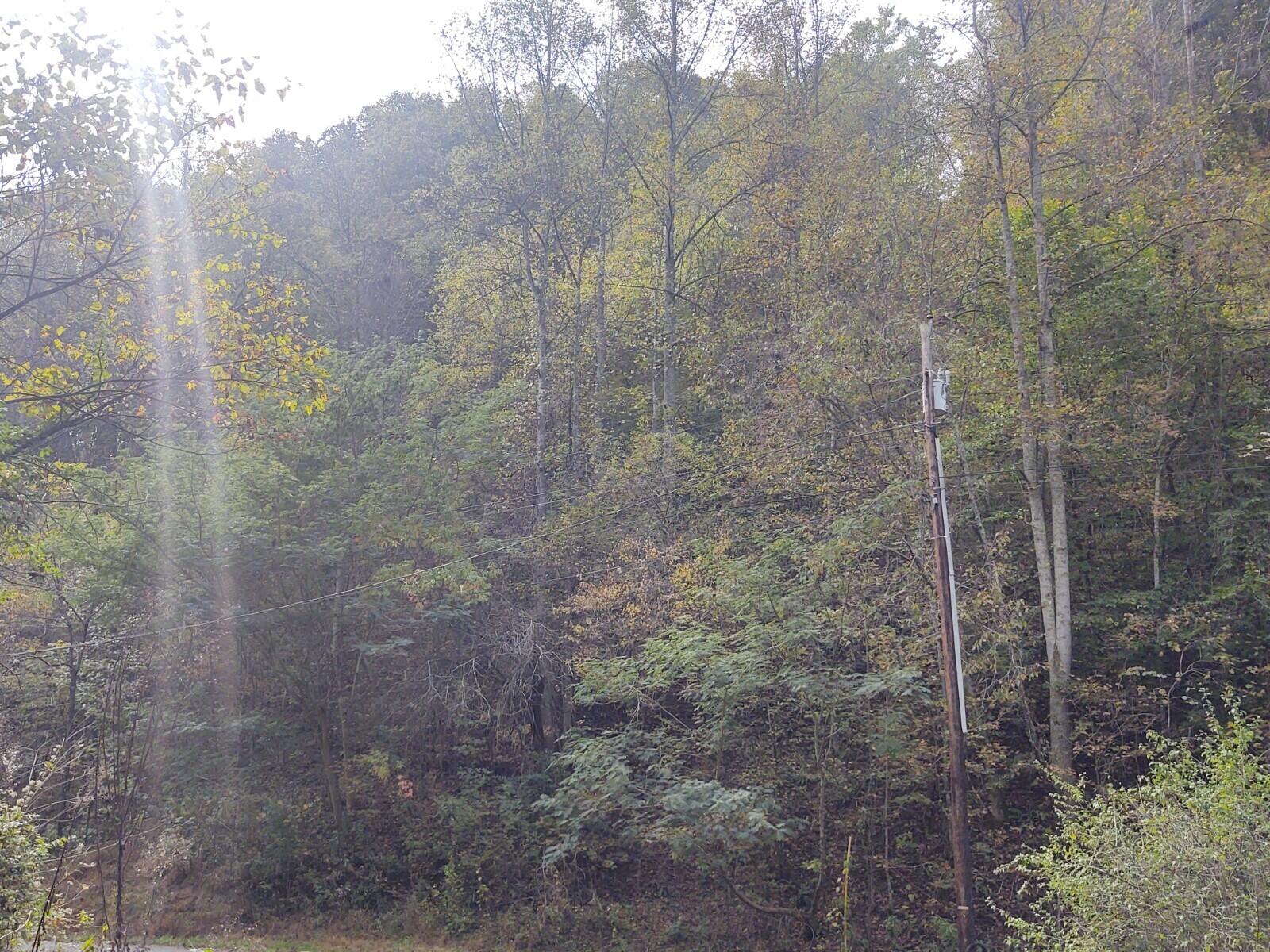 Photo #8: Tbd Bear Hollow Road
