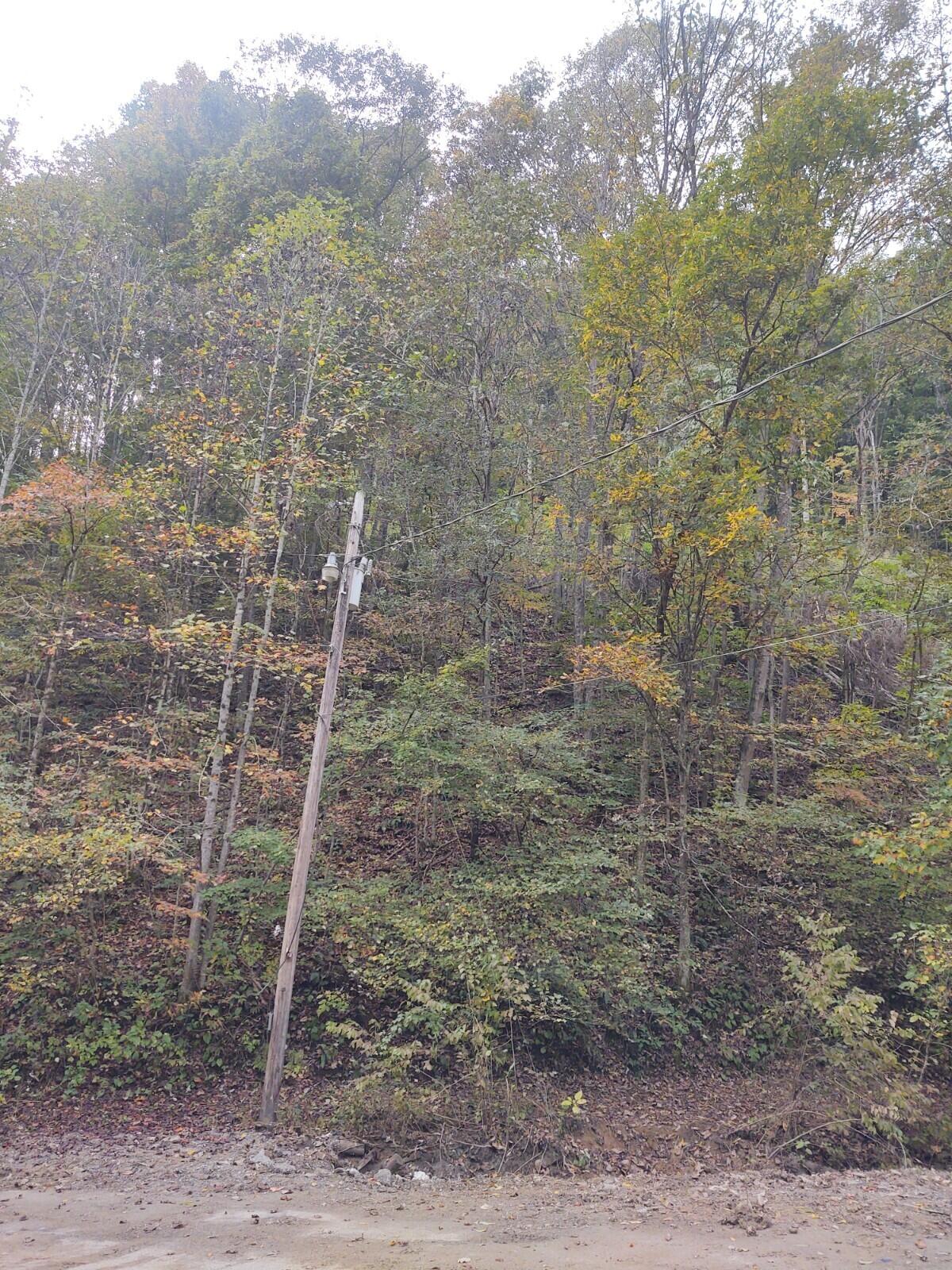 Photo #10: Tbd Bear Hollow Road