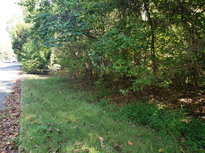 Photo #3: 1515 Strawberry Lane