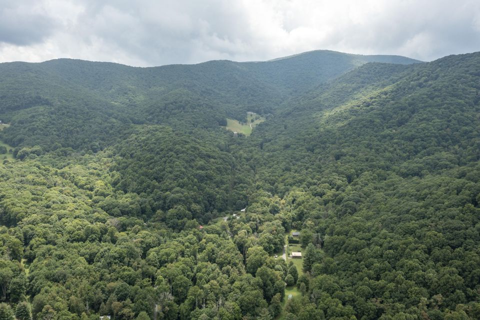 Photo #19: 00 Heaton Creek Road