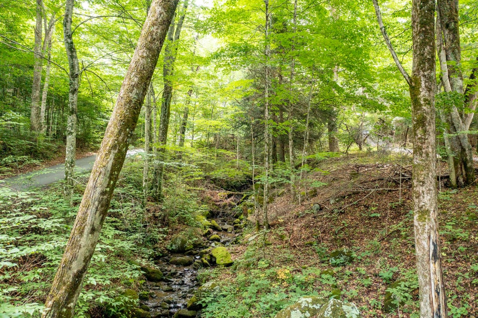 Photo #17: 00 Heaton Creek Road