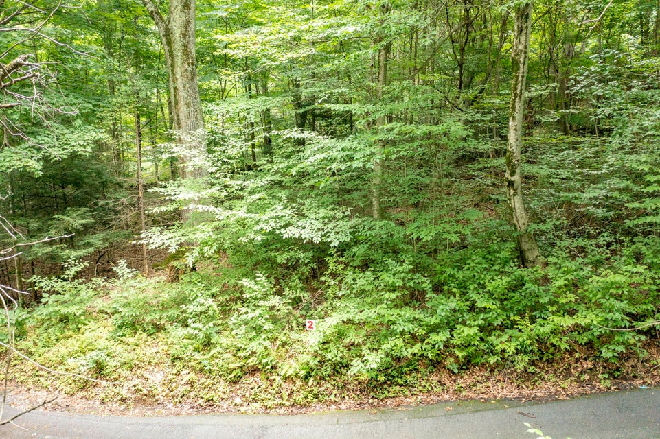Photo #5: 00 Heaton Creek Road