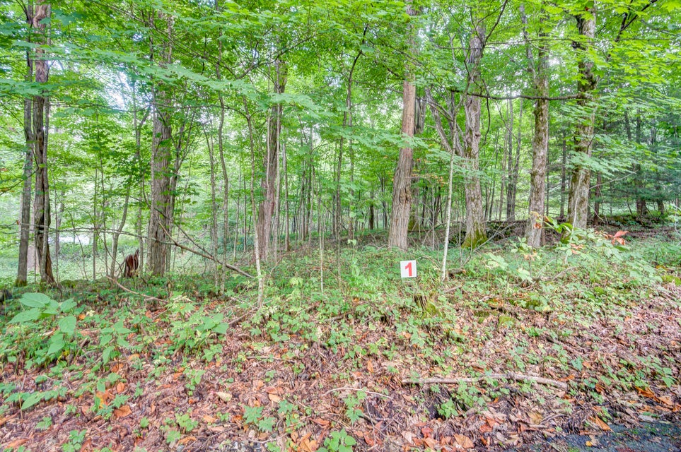 Photo #3: 00 Heaton Creek Road