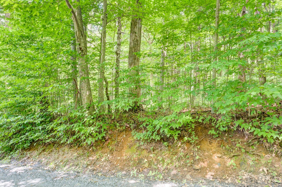 Photo #14: 00 Heaton Creek Road