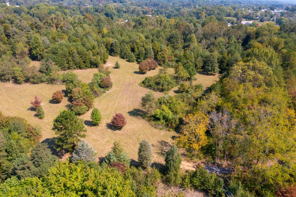 Photo #20: Tbd Bloomingdale Road