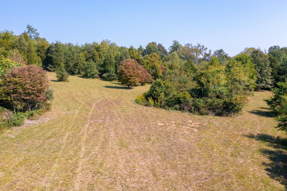 Photo #28: Tbd Bloomingdale Road